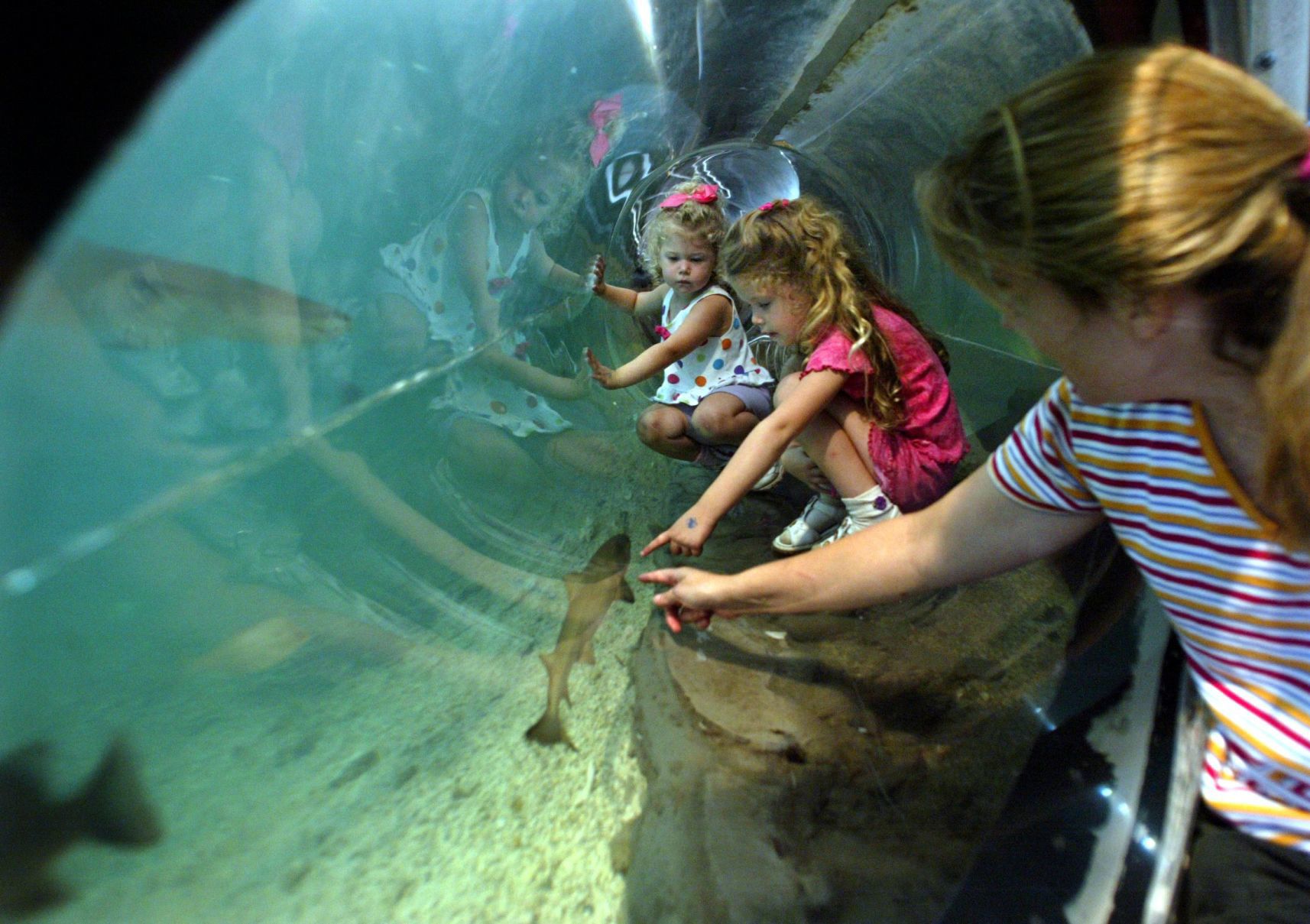 Crawling through plexiglass tunnel at City Museum
